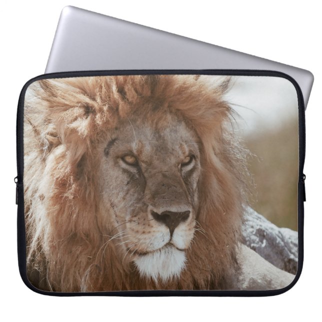 CAPA PARA NOTEBOOK SR. LION (Frente)