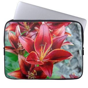 Capa Para Notebook Stargazer Lily, Fotografia da Flor Vermelha