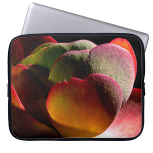 Capa Para Notebook Succult Desert Plant