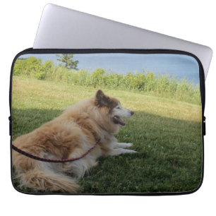 Capa Para Notebook Suka aproveitando o Cabo George