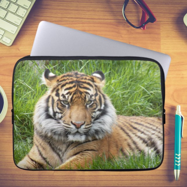 Capa Para Notebook Sumatran Tiger Wildlife Photo (In Situ)
