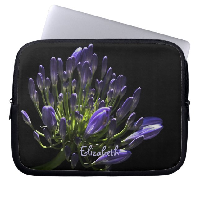 Capa Para Notebook Sunlit Blooming Purple Agapanthus, African Lily (Frente)