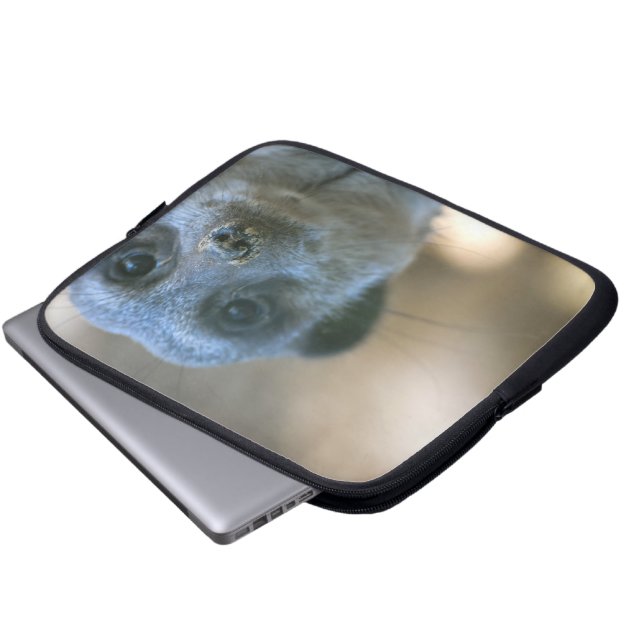 Capa Para Notebook Suricata engraçada (Frente Inferior)