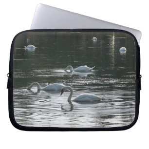 Capa Para Notebook Swans Feeding, Roath Park Lake, Cardiff