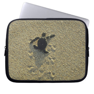 Capa Para Notebook Tartaruga Verde, (Chelonia mydas), filhote