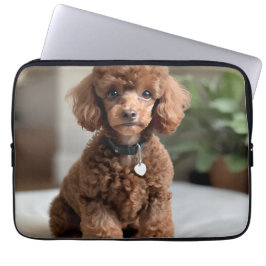 Capa Para Notebook Teacup Poodle 2
