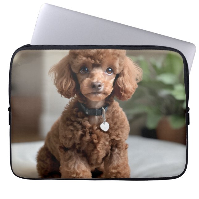Capa Para Notebook Teacup Poodle 2 (Frente)