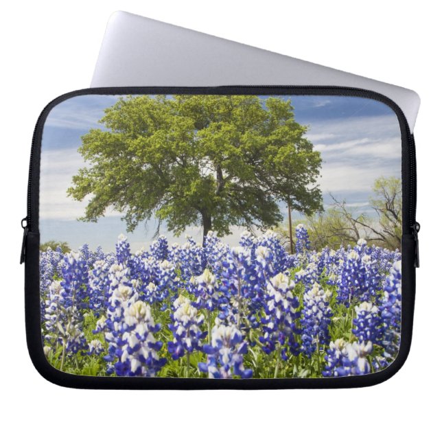 Capa Para Notebook Texas bluebonnets(lupinus texensis) e carvalho (Frente)
