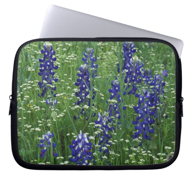 Capa Para Notebook Texas, Lago Buchanan. Texas Bluebonnet e Selvagem (Frente)