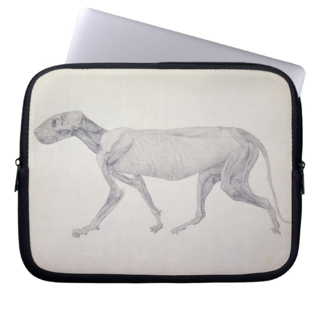 Capa Para Notebook Tigre de George Stubbs |: Vista lateral, (Frente)