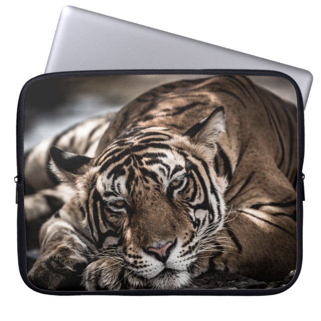Capa Para Notebook Tigre Ranthambore: arte fina de close-up. (Frente)