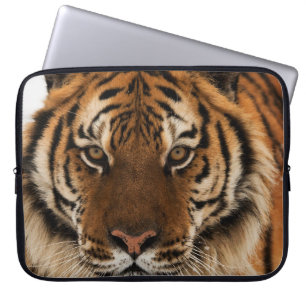 Capa Para Notebook Tiro de Cabeça do Tigre Siberiano