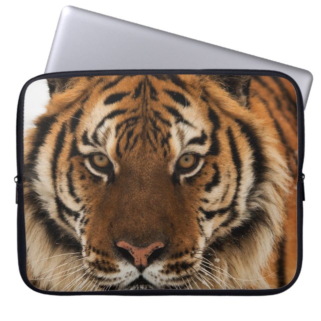 Capa Para Notebook Tiro de Cabeça do Tigre Siberiano (Frente)