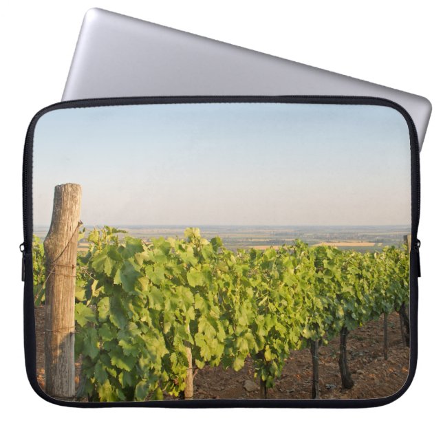 Capa Para Notebook Tokaj vineyards, Hungria (Frente)