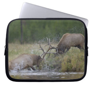 Capa Para Notebook Touros-alces lutando, Yellowstone NP, Wyoming