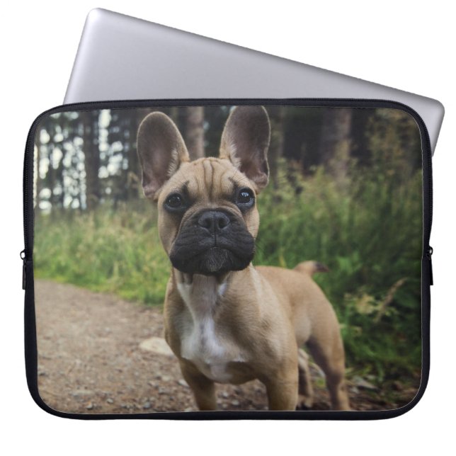 Capa Para Notebook Travesseiro de French Bulldog (Frente)