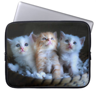 Capa Para Notebook Três Amigos