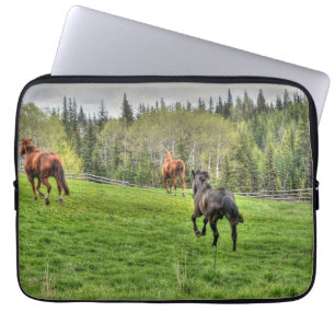 Capa Para Notebook Três Cavalos em Grama Fresca numa Paddock