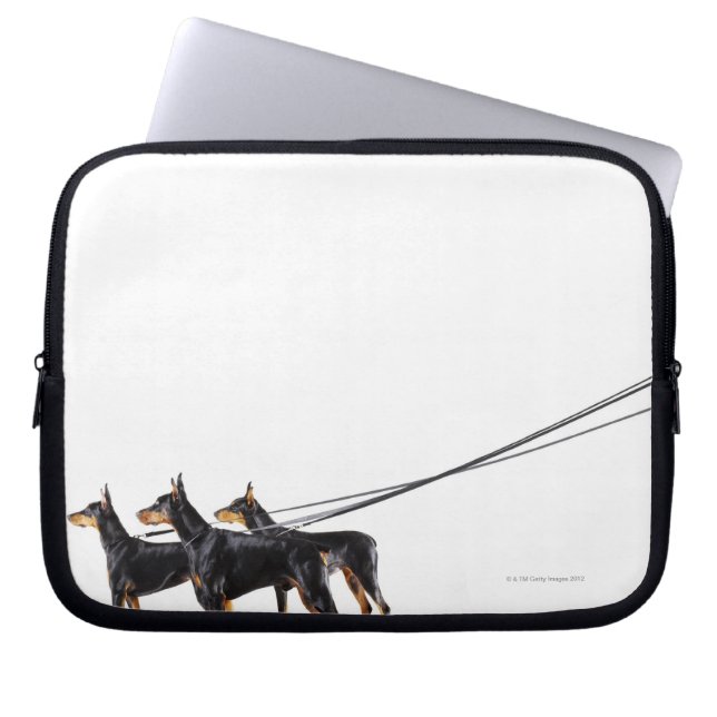 Capa Para Notebook Três Dobermans na coleira (Frente)