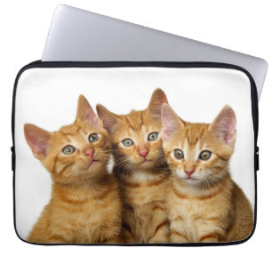 Capa Para Notebook Três Gengibres Gengibres Gengibres Bonitos Foto de