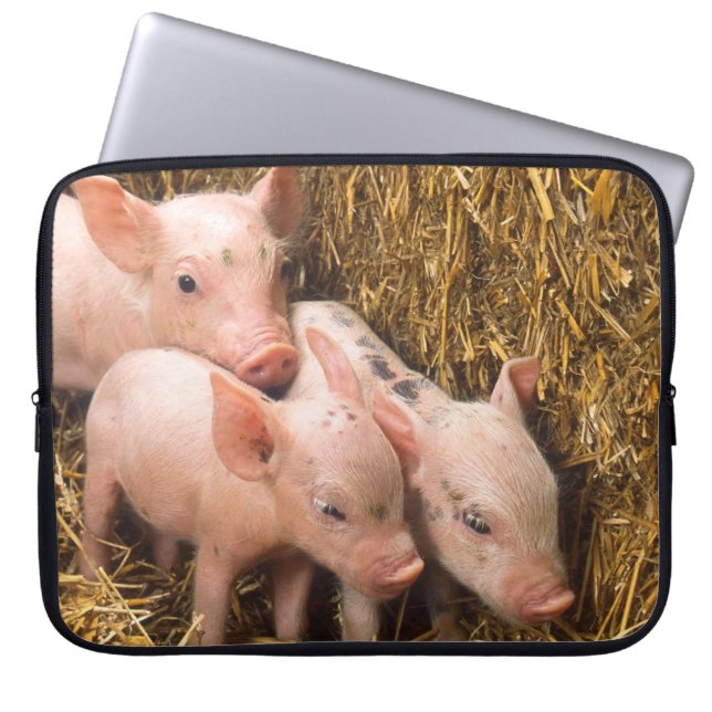 Capa Para Notebook Três Porquinhos (Frente)