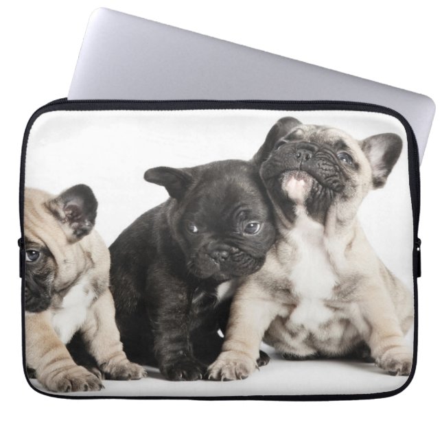 Capa Para Notebook Três Pug Puppies (Frente)