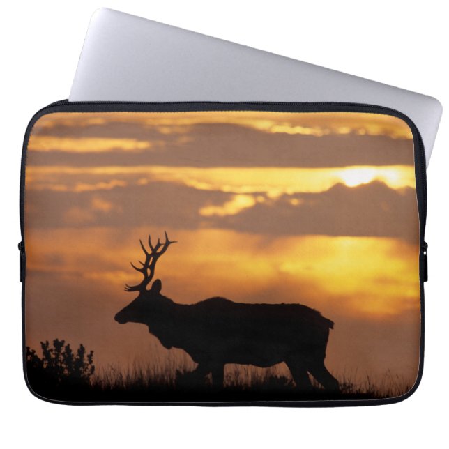Capa Para Notebook Tule Elk | Ponto Reyes National Seashore (Frente)