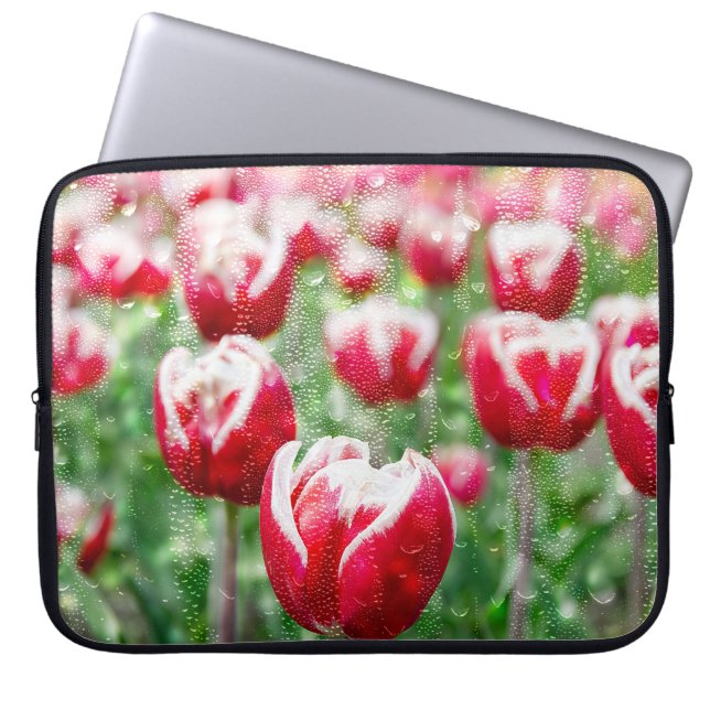 Capa Para Notebook Tulipas brancas e vermelhas com gotas de chuva (Frente)