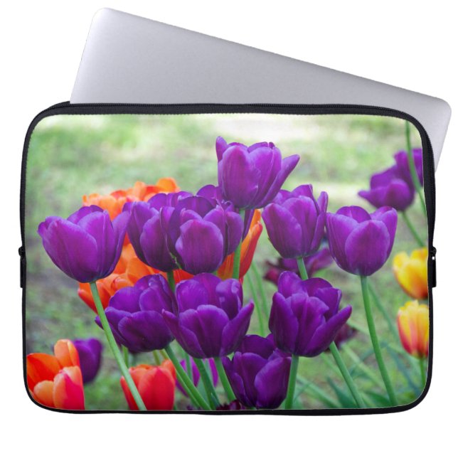 Capa Para Notebook Tulipas roxas escuras num dia ensolarado no jardim (Frente)