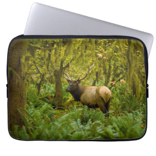 Capa Para Notebook Uapiti Roosevelt Touro