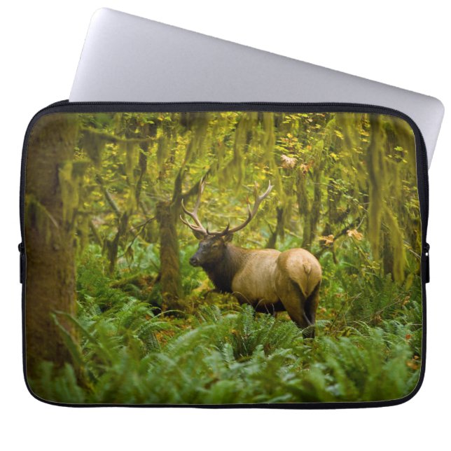 Capa Para Notebook Uapiti Roosevelt Touro (Frente)