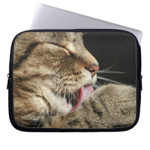 Capa Para Notebook Um gato de gato malhado que lambe seu paw.