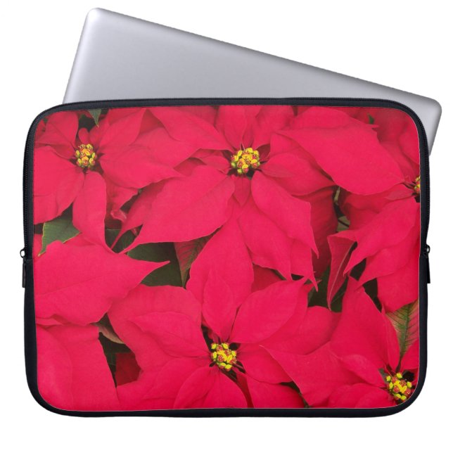Capa Para Notebook Um monte de Poinsettias de Natal Brilhante (Frente)