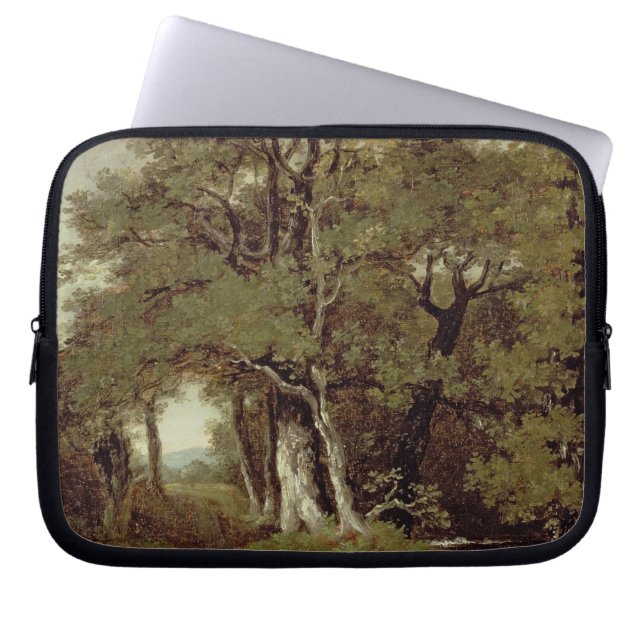 Capa Para Notebook Um trajeto arborizado (Frente)