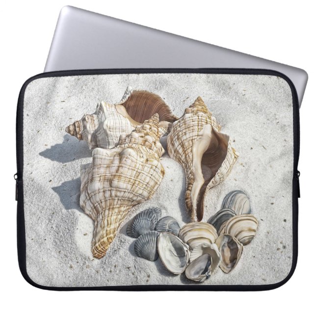 Capa Para Notebook Uma Coleção de Conchas de Moluscos na Areia (Frente)