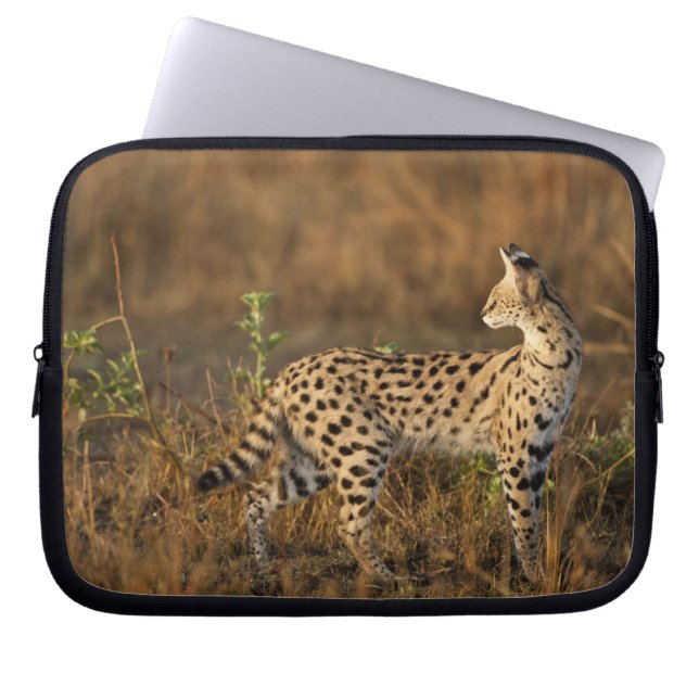 Capa Para Notebook Upper Mara, Reserva de Caça Masai Mara, Quênia, (Frente)
