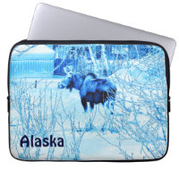 Urban Moose
