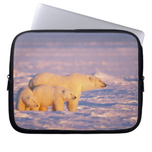 Capa Para Notebook ursa polar com filhotes de primavera no congelado