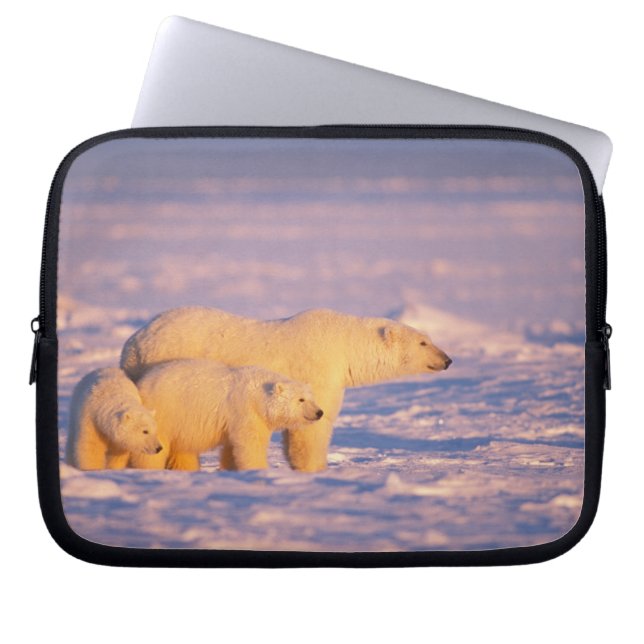 Capa Para Notebook ursa polar com filhotes de primavera no congelado (Frente)