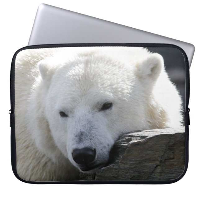 Capa Para Notebook Urso 002 (Frente)