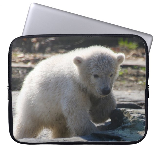 Capa Para Notebook Urso 07 (Frente)