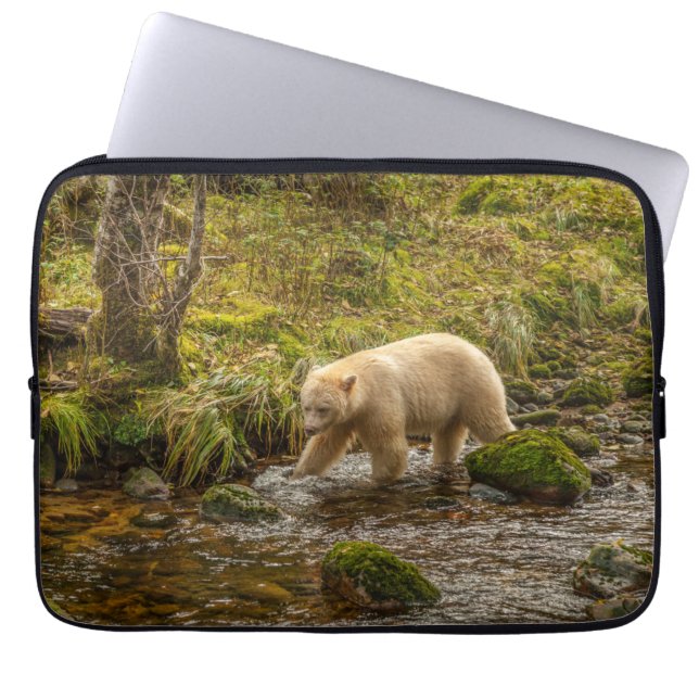 Capa Para Notebook Urso Espírito Branco caça peixes no Riordan Creek (Frente)
