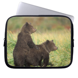 Capa Para Notebook urso pardo, Ursus arctos, urso cinzento, Ursus 2