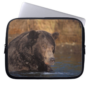 Capa Para Notebook urso pardo, Ursus arctos, urso cinzento, Ursus 5