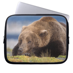 Capa Para Notebook urso pardo, Ursus arctos, urso cinzento, Ursus 8