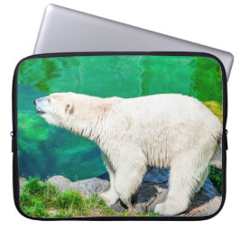 Capa Para Notebook Urso polar