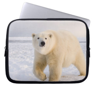 Capa Para Notebook urso polar, Ursus maritimus, no gelo e neve, 2