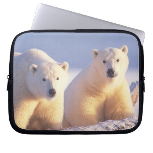 Capa Para Notebook Ursoaica com filhote no gelo marinho
