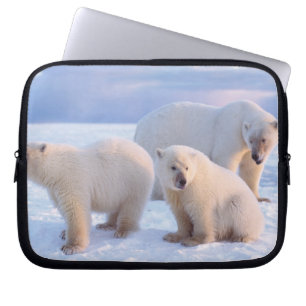 Capa Para Notebook Ursoaica com filhotes no gelo costeiro