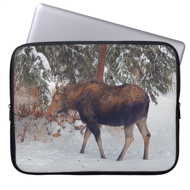 Capa Para Notebook Vaca de Moose Selvagem Canadiana e Floresta de inv (Frente)